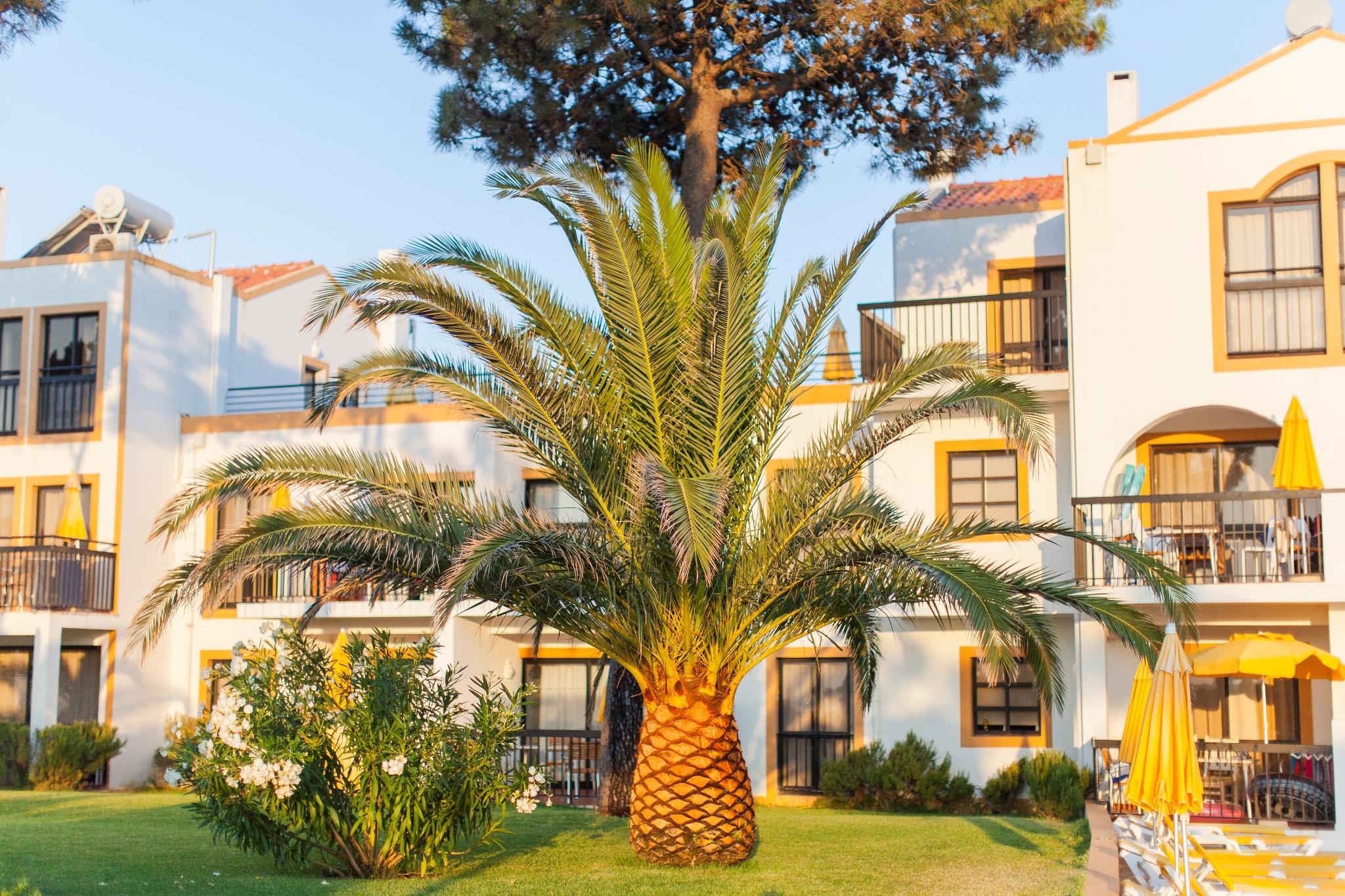 Alfagar Village Albufeira Exterior foto